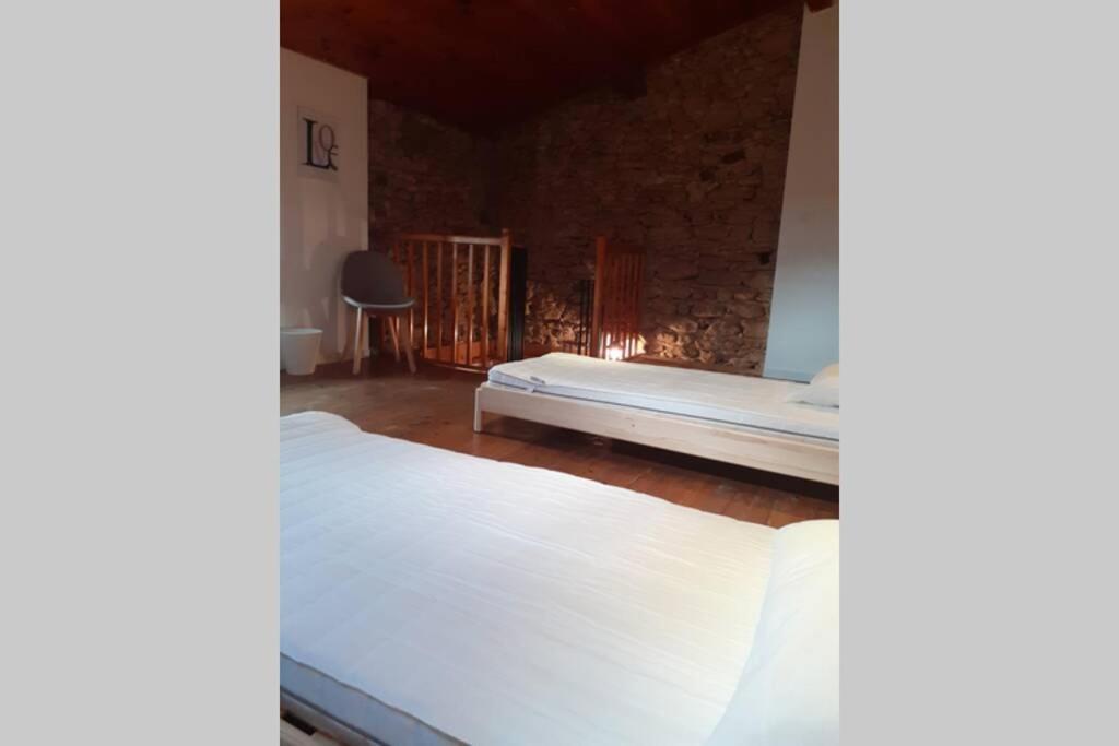 Maison De Village Saint-Barthelemy-de-Vals Bagian luar foto